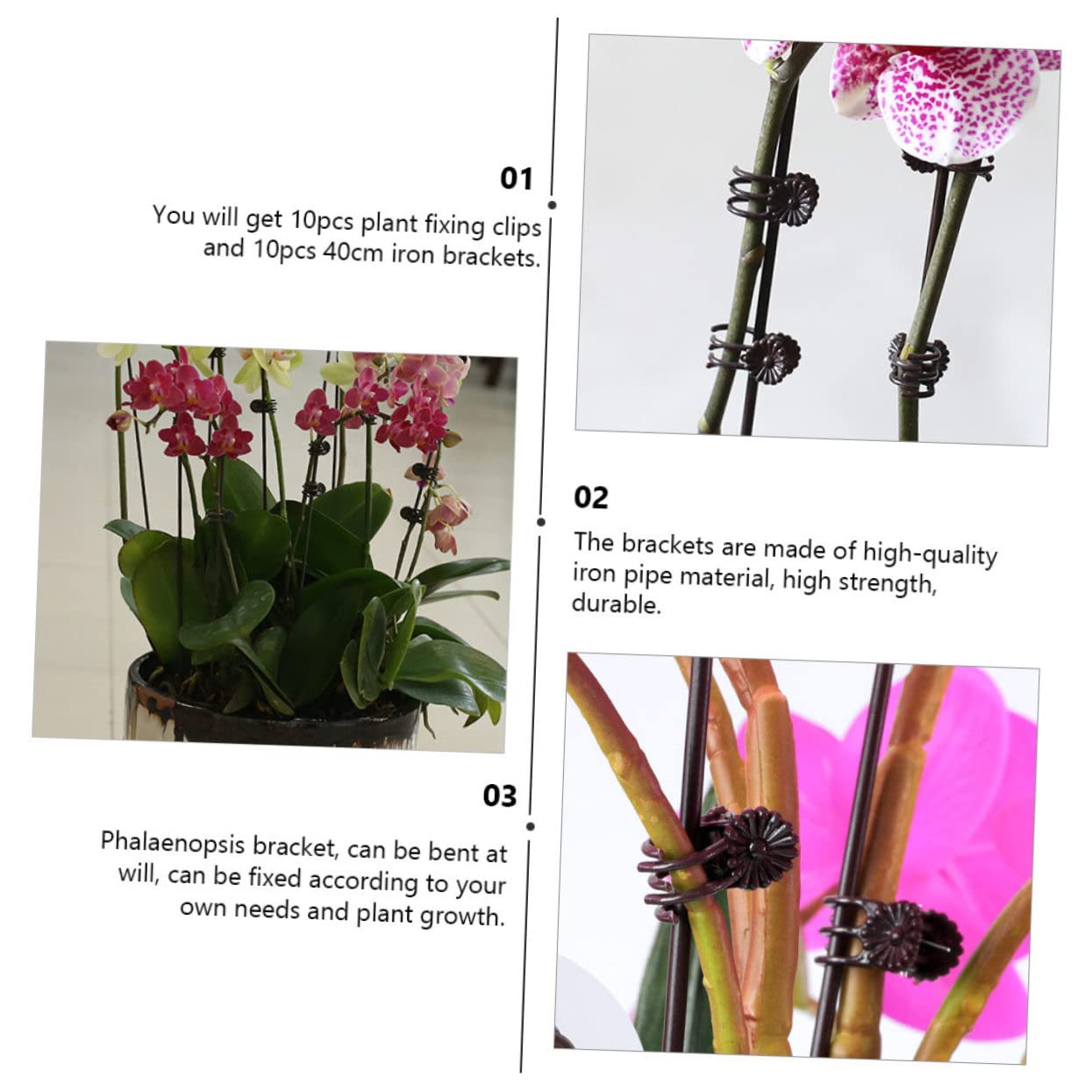 BESTonZON 2 Sätze Garten Clips Set Pflanzenfixierung Für Kletterpflanzen Wiederverwendbare Klammern Material Zur Unterstützung Pflanzenwachstums Für Orchideen Und Andere 20 Stück * 2