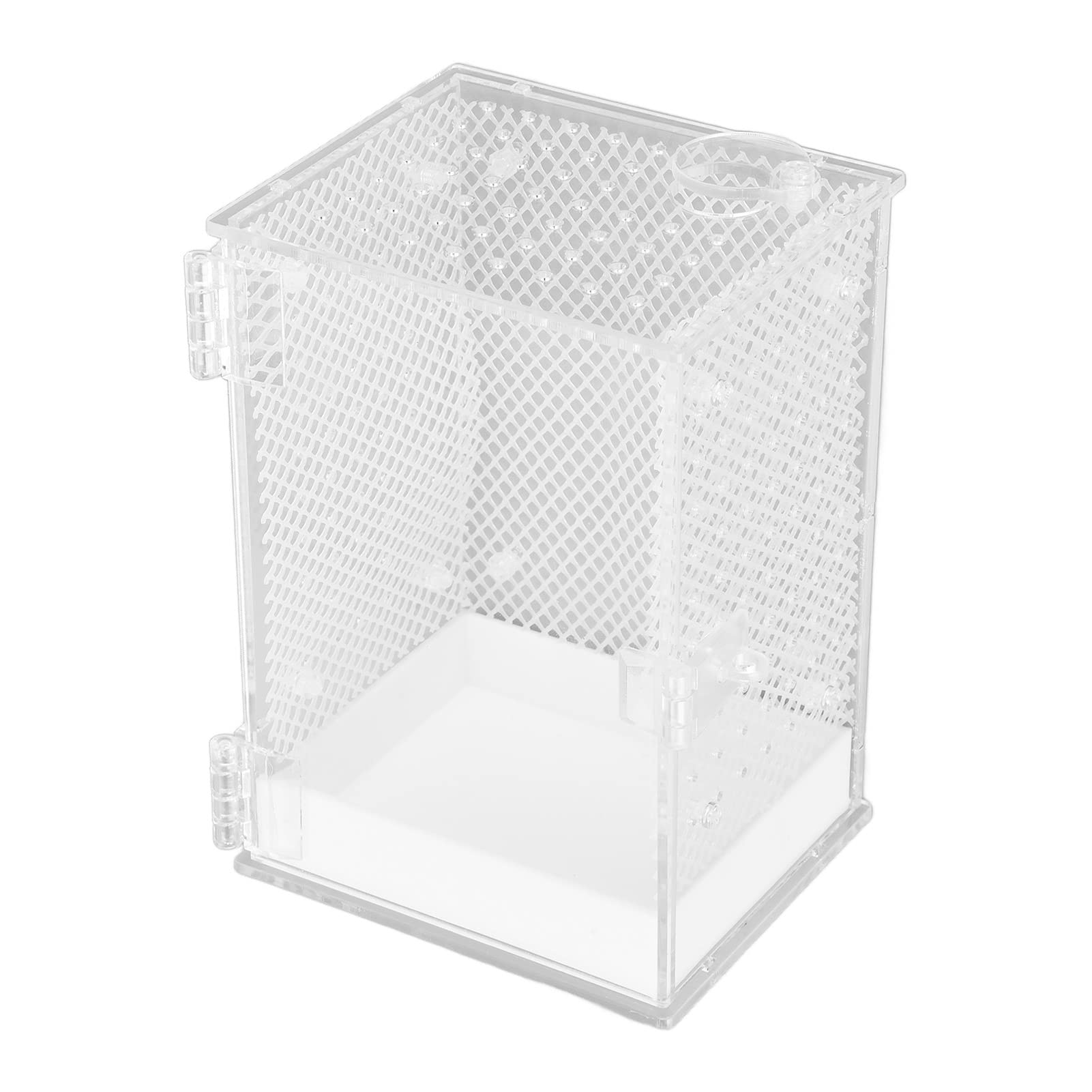 Boîte d'élevage d'insectes en acrylique transparent robuste et pur