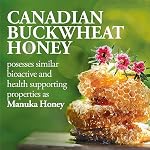Dutchman’s Gold Buckwheat Honey | Unpasteurized Dark Honey | Robust, Full-Bodied Flavour | European & Canadian Buckwheat Blossoms | 1 kg