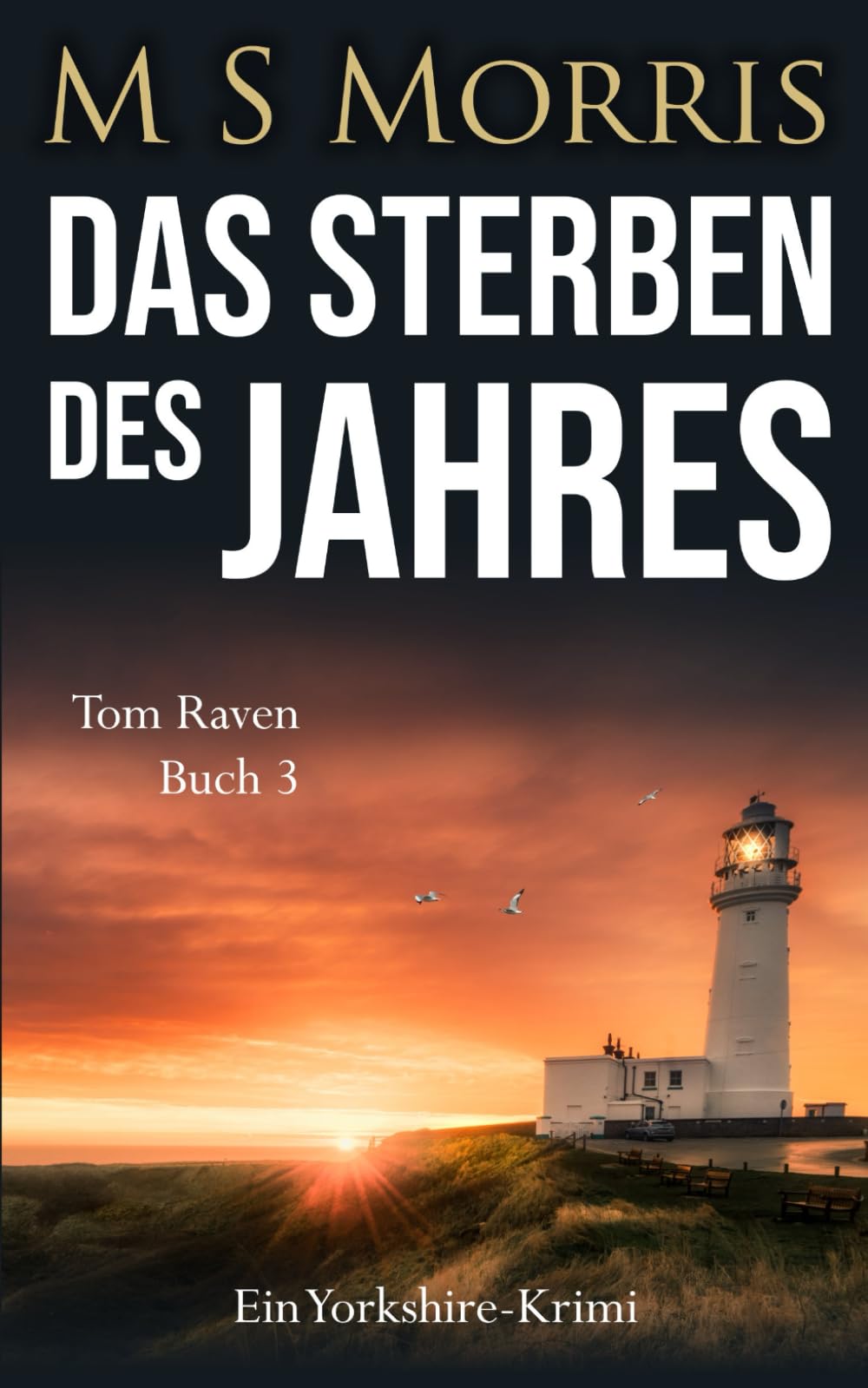 Das Sterben des Jahres: Ein Yorkshire-Krimi: 3 (Die Tom-Raven-Reihe)