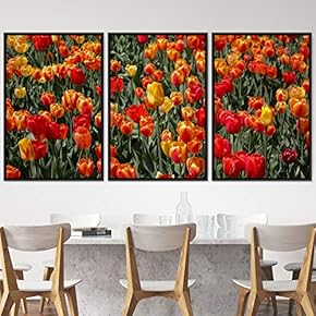 signwin 3 Piece Framed Canvas Wall Art Red...