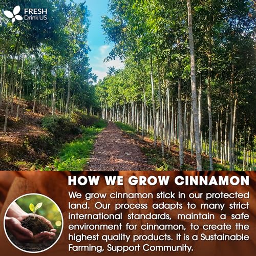 Image of FreshDrinkUS, Premium 40 Tea Bag Natural & Pure from Cinnamon Sticks. Cinnamon Herbal Tea. Made with Natural Material Tea Bags. No Sugar, No Caffeine, No Gluten, Vegan