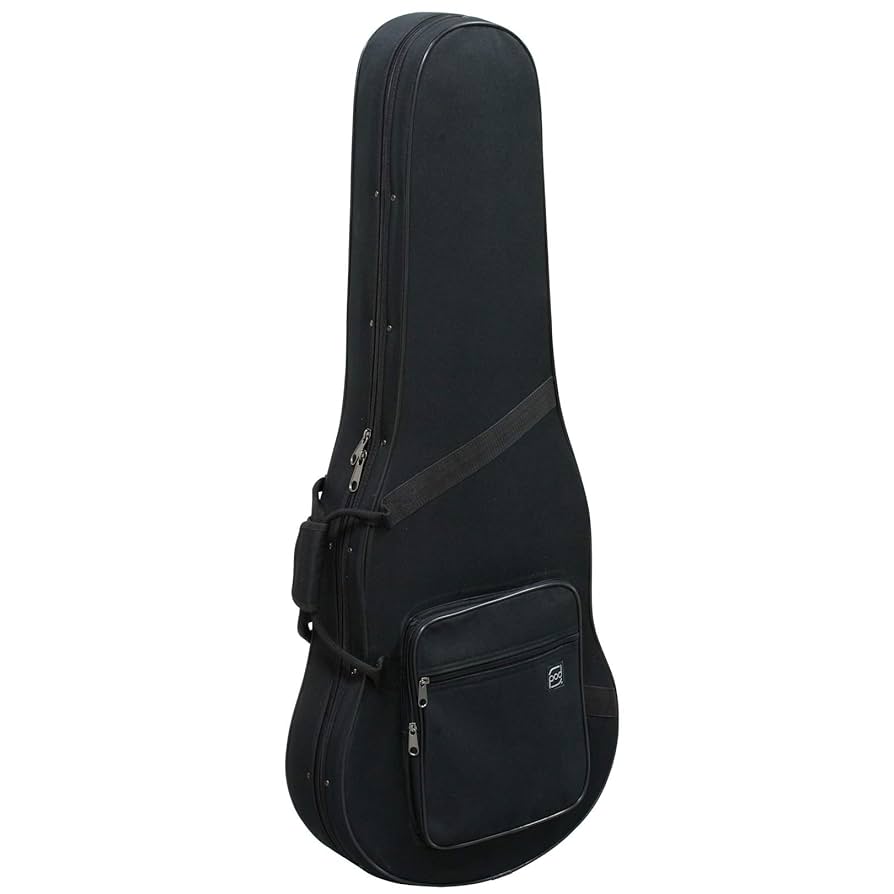 エレキギター ケースとストラップ付き Amazon | STENTOR エレキギター ST TL 用 軽量ケース ストラップ
