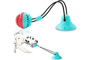 Best Blue Heeler Dog Toys: A Comprehensive Guide for Aggressive Chewers