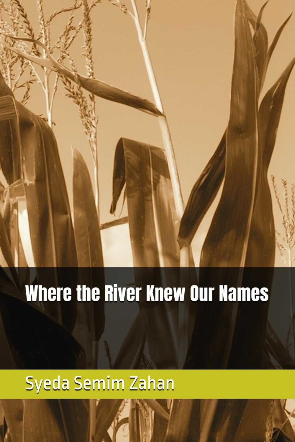 Where the River Knew Our Names