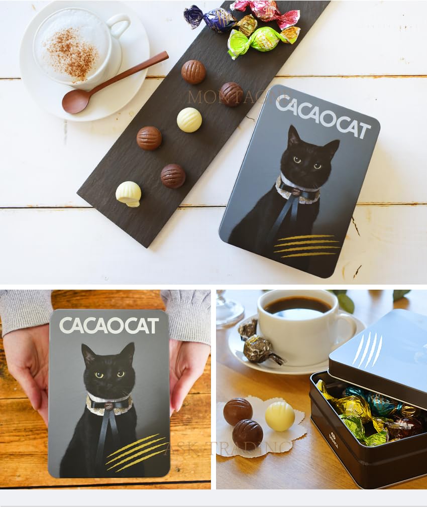 Amazon.co.jp: DADACA カカオキャット CACAOCAT チョコレート 黒猫缶