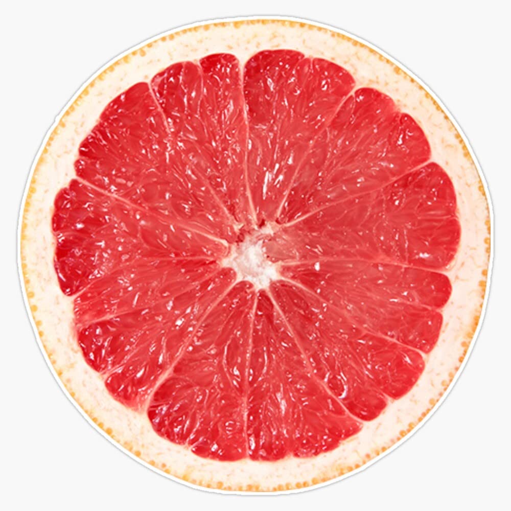 Grapefruit Vinyl Decal Bumper Sticker 5"