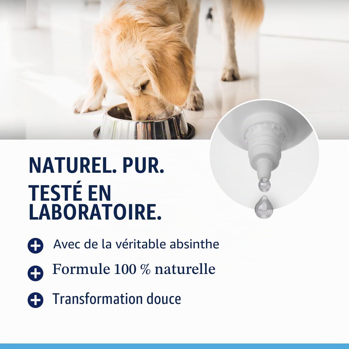 Animal Supply Vermifugeuse liquide liquide 50 ml - Cure secondaire pour tous les animaux de compagnie, chien, chat, recette naturelle, vermifuge secondaire, sans anthelminthique