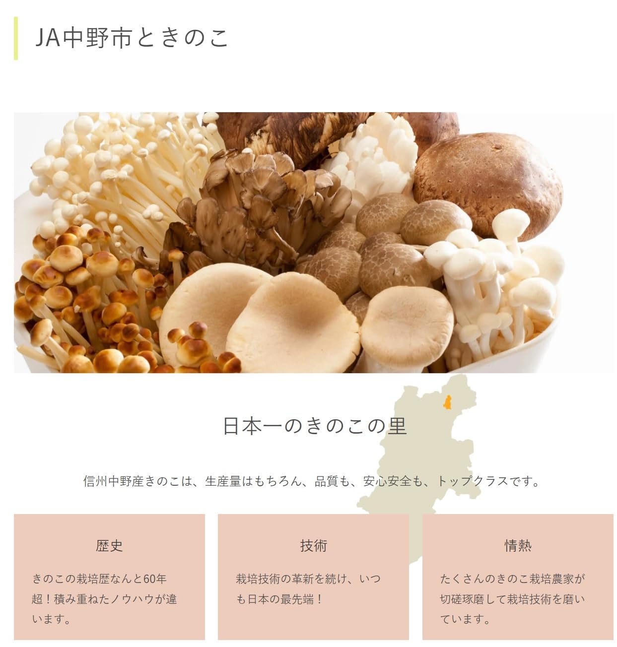 エリンギ　4枚 Amazon.co.jp: 国内産 エリンギ 1パック 100g : 食品・飲料・お酒