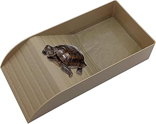 Comida Tartaruga - Tigela alimentação répteis água tartaruga | Tigelas comida água tartaruga portáteis para répteis piscina répteis tartaruga para Puchen