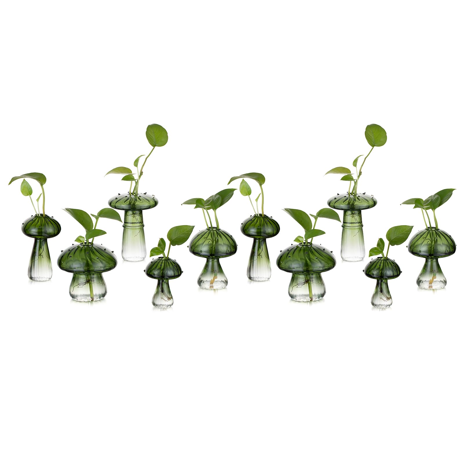 Glasseam Stations de propagation de plantes champignons : lot de 10 pots de terrarium en verre vert pour plantes d'intérieur - Mini station de propagation - Cadeaux uniques de Noël et d'anniversaire