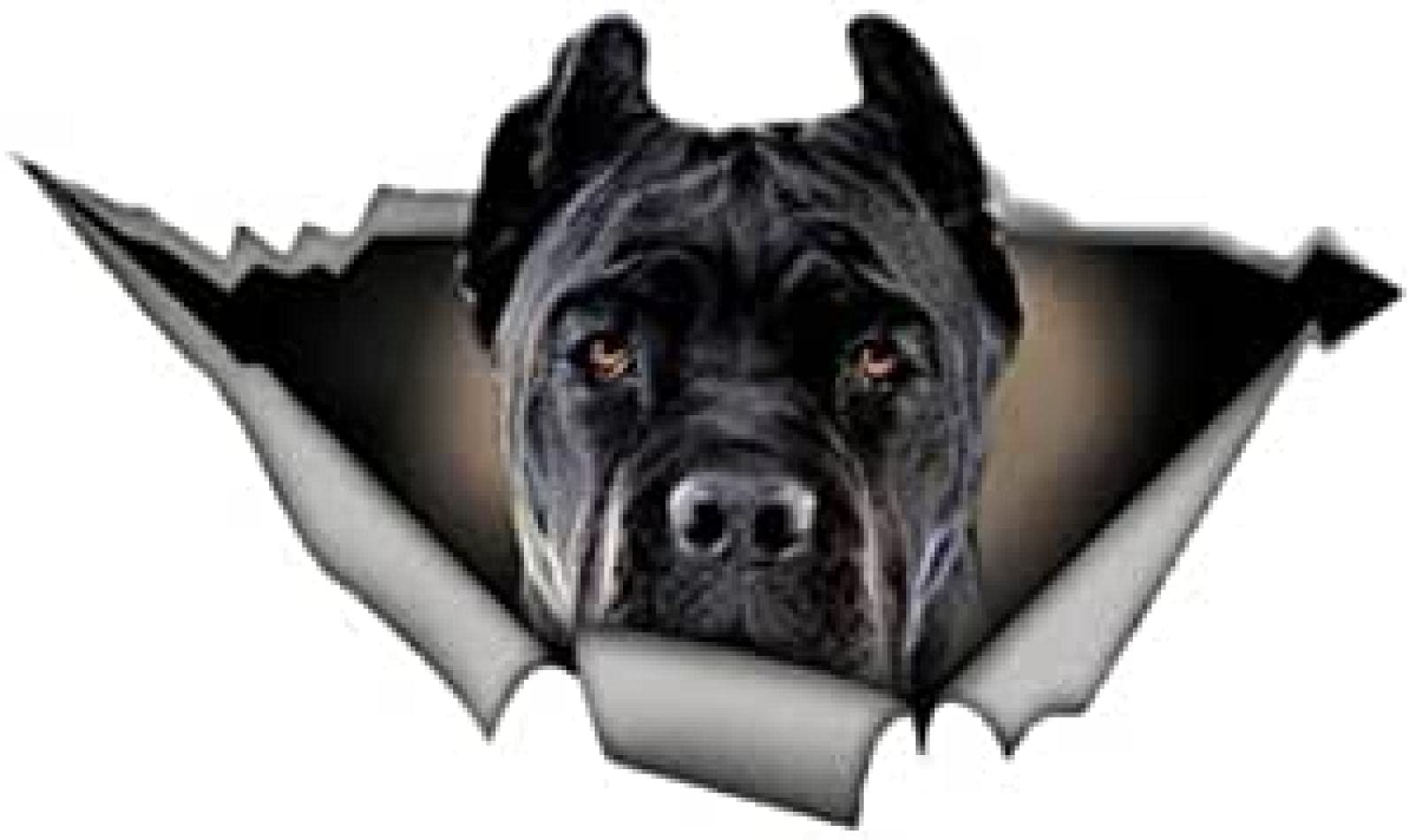 Adesivo Per Auto 22 Cm (8,6 Pollici) Nero Cane Corso Adesivo Per Auto
