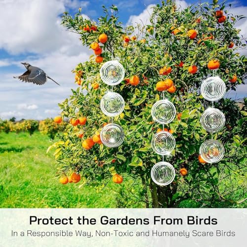 Varilla antipájaros decorativa para proteger el huerto y los frutales 6