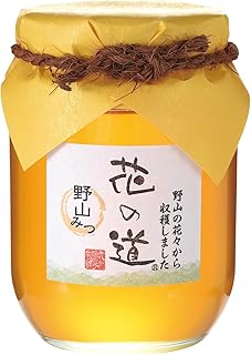 花の道 野山みつ750g 【九州蜂の子本舗】国産 蜂蜜