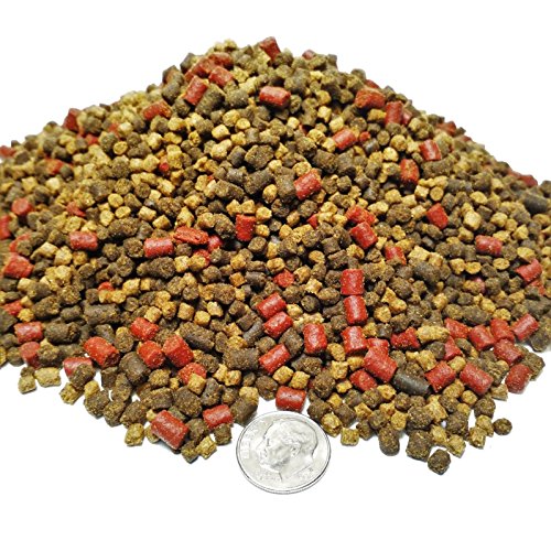 Aquatic Foods Inc. Gourmet Blend of Ragen Soft Moist Pellets, High Protein Krill Pellets for Axolotl, Fresh Water Shrimp, Newts All Tropicals.GB-570-16oz/1-lb