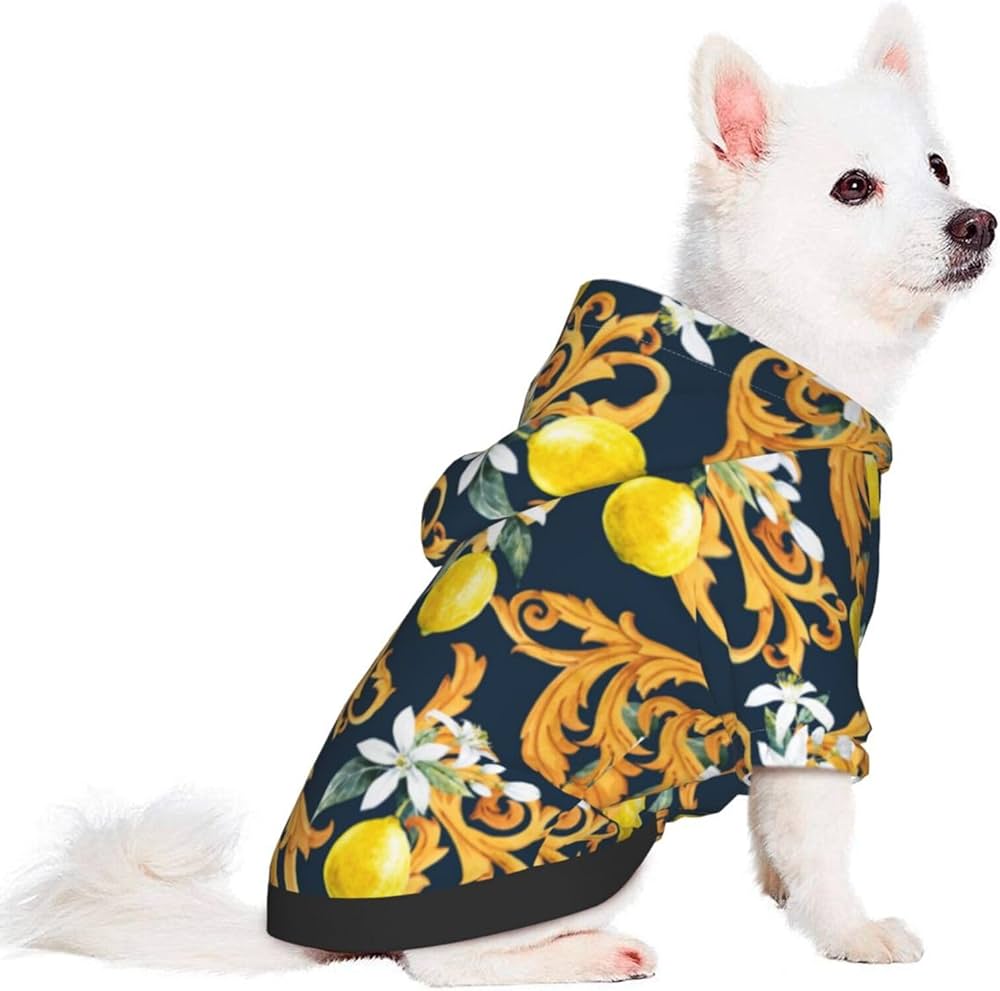 Small girl doggie style