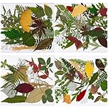 (Paquet de 4 120 pièces) Les spécimens de feuilles de séchées offrent diverses variétés de feuillage naturel, notamment des feuilles d'érable et de fougère, parfaites pour l'artisanat en résine et les projets d'artisanat nécessitant des matériaux végétaux authentiques