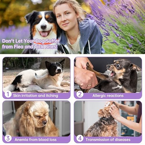 WEALLIN Collare Antipulci Cane, Collare