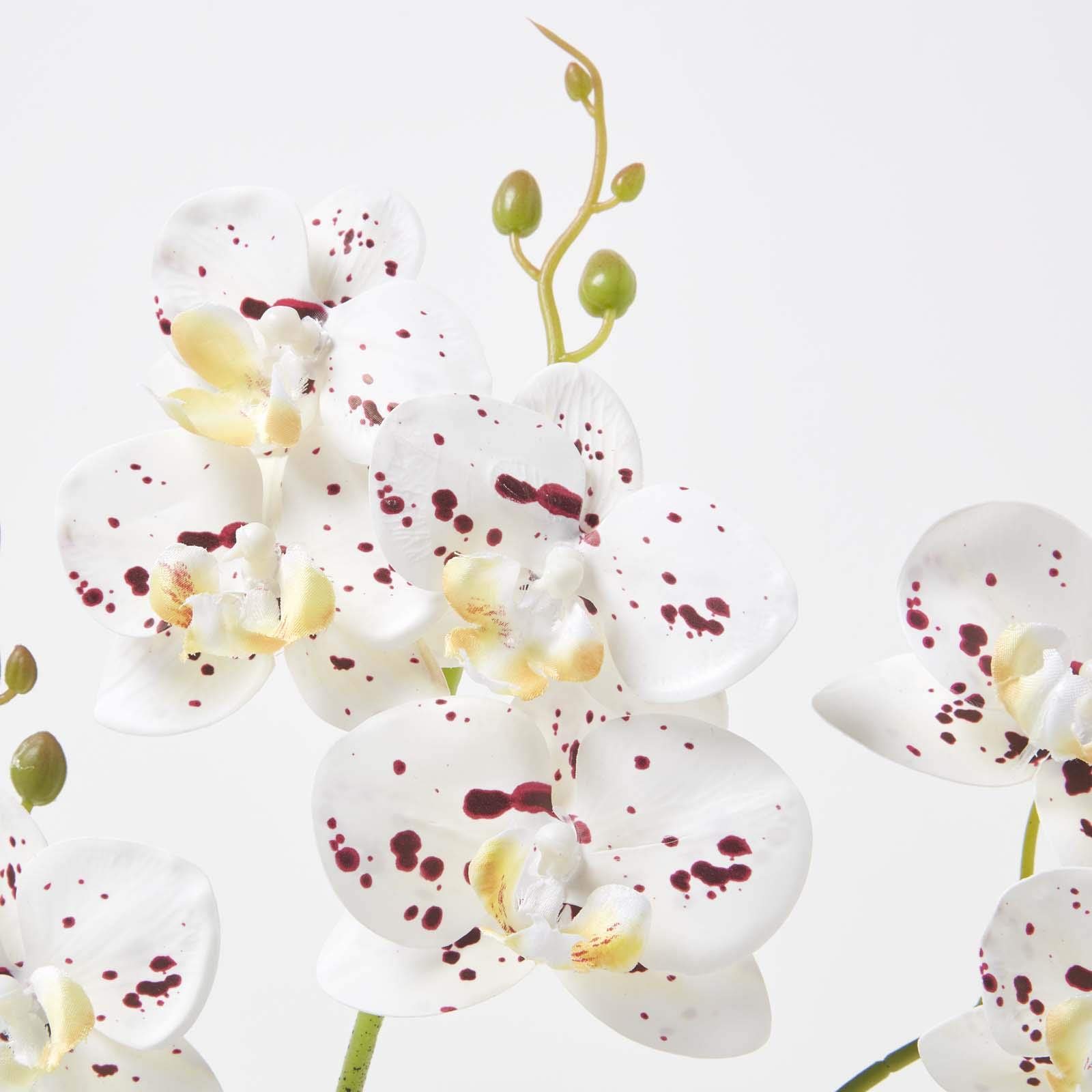 Homescapes Grande orchidea artificiale verde e bianca in vaso, altezza 82 cm, realistica, vaso di cemento grigio, fiori e foglie di seta realistici