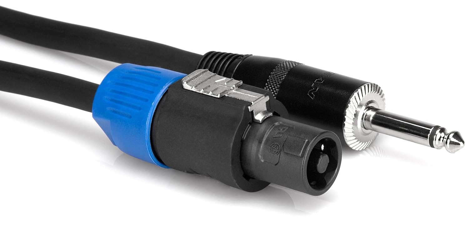 Detailní záběr view of the REAN Loudspeaker (Speakon-compatible) and 1/4 inch TS connectors of the Hosa speaker cable.