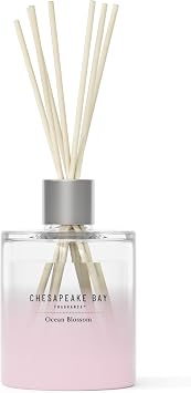 Chesapeake Bay, Reed Diffuser, 5.7oz, Ocean Blossom Scent, Mood Evoking, Sea Glass-Inspired Jar, Room Filling Fragrance Made with Essential Oils, Coastal Fragrance for Home Decor or Gifting