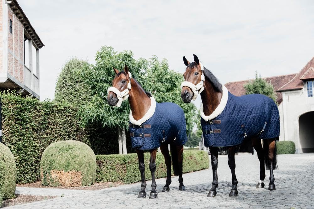 kentucky Horse Protectora de Torneo, Talla 155 Navy