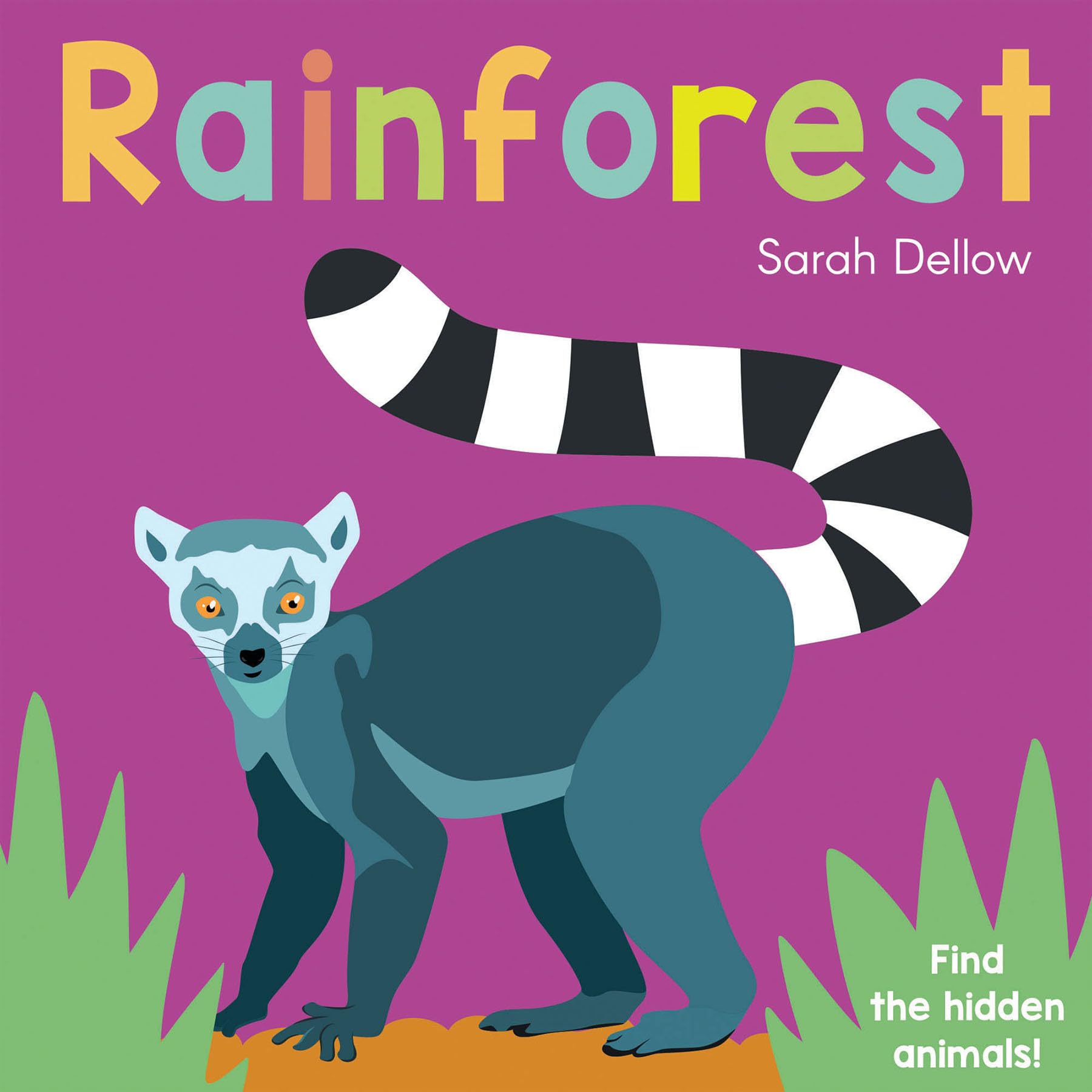 Now you See It! Rainforest: 4
