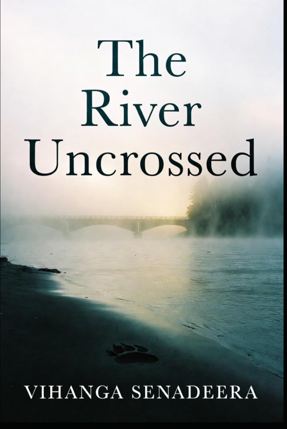 The River Uncrossed: A Literary Novel of Family, Migration, and the Weight of What We Leave Behind