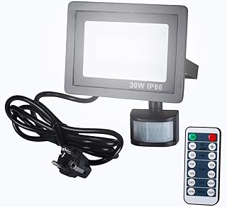 Etrogo 30W LED Strahler mit Bewegungsmelder Außen Fernbedienung 3000LM 42 Leds 6000K Kaltweiß Dimmbar LED IP66 Wasserdicht...
