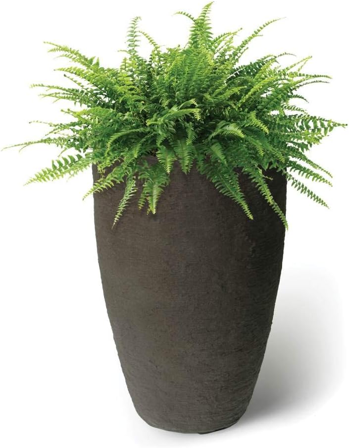 Algreen Products 87313 Athena Self-Watering Planter, Large, 17.5 DIA x 28.5 H, Brownstone