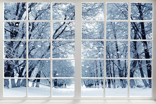 TTQYFNM 15x10ft Snow Scene Window Backdrop White Snow Trees Winter Wonderland Landscape Photography Background for Baby Kids Christmas Party Decorations Portrait Shooting Vinyl Photo Booth Props by TTQYFNM - Image 4