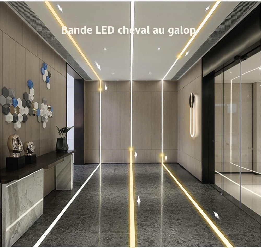Cob flux d'eau courante LED bande lumineuse WS2811 24V cheval course séquentielle bande LED avec contrôleur de panneau tactile RF (6000K)