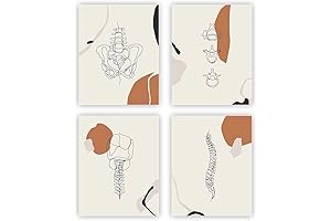 heilkee Anatomy Art: Boho Wall Decor for Therapy Offices