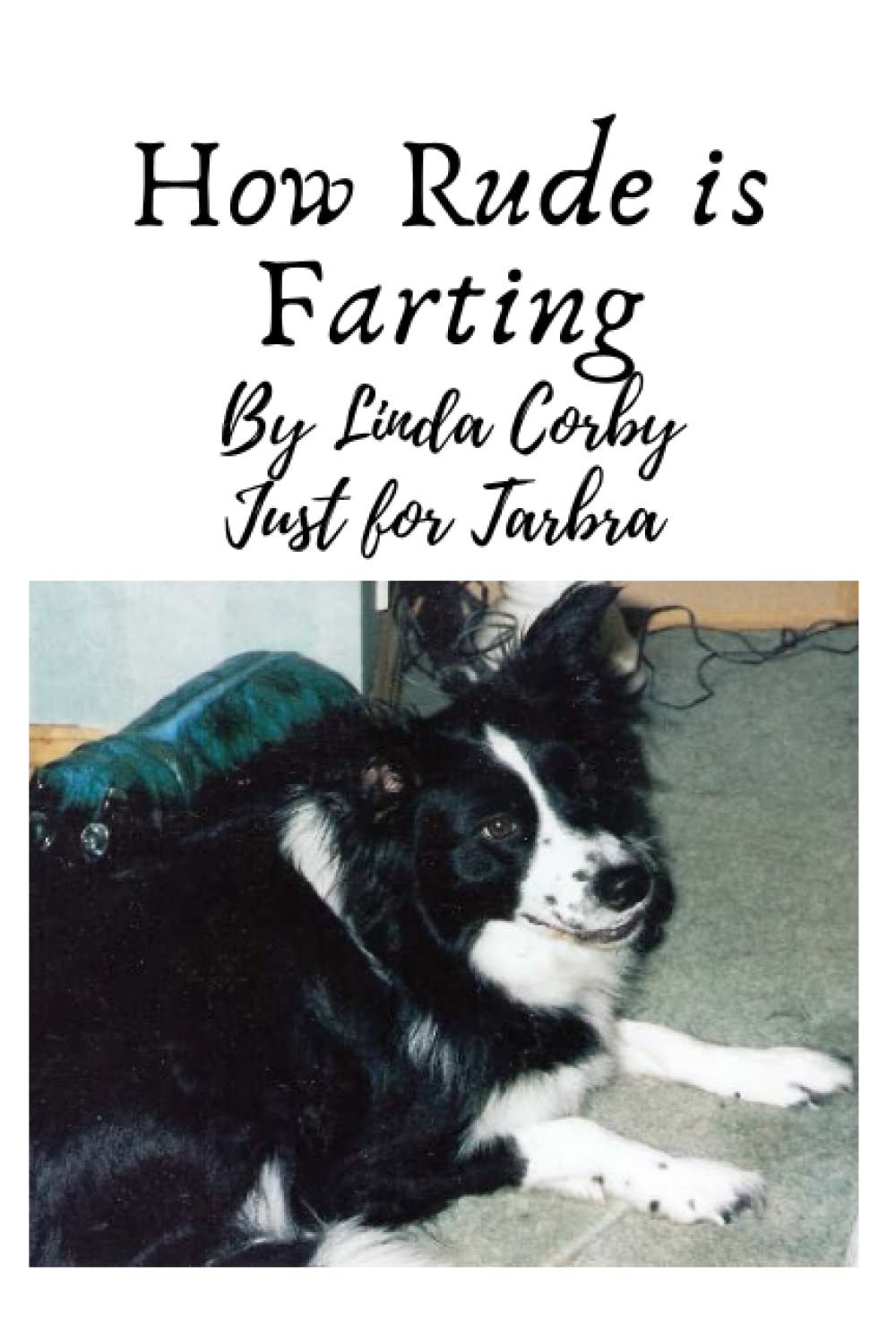 How Rude is Farting: Just For Tarbra our beautiful Border Collie