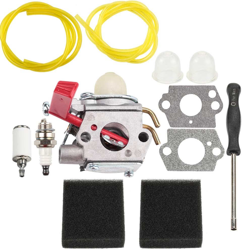Dalom 984534001 Carburetor w Air Filter Carb Adjustment Tool for Homelite Trimmer B25C B25S BC2500R D725CD D725CDE D825SB D825SD F2020 F3040 F3050 UT20768 UT20770 UT15182 UT15200 UT20739 Tune Up Kit