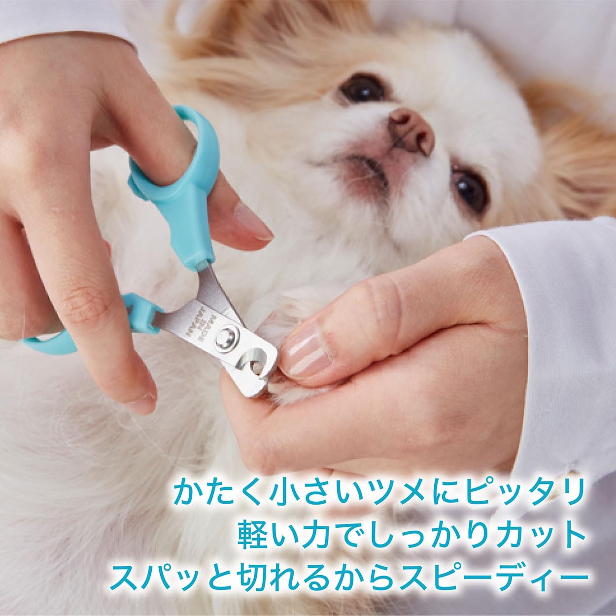 Amazon.co.jp: ペティオ (Petio) SelfTrimmer スパッと素早く切れる 犬