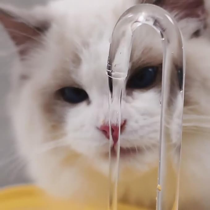 Bebedero automático para gatos 1.5L silencioso USB miniatura 5