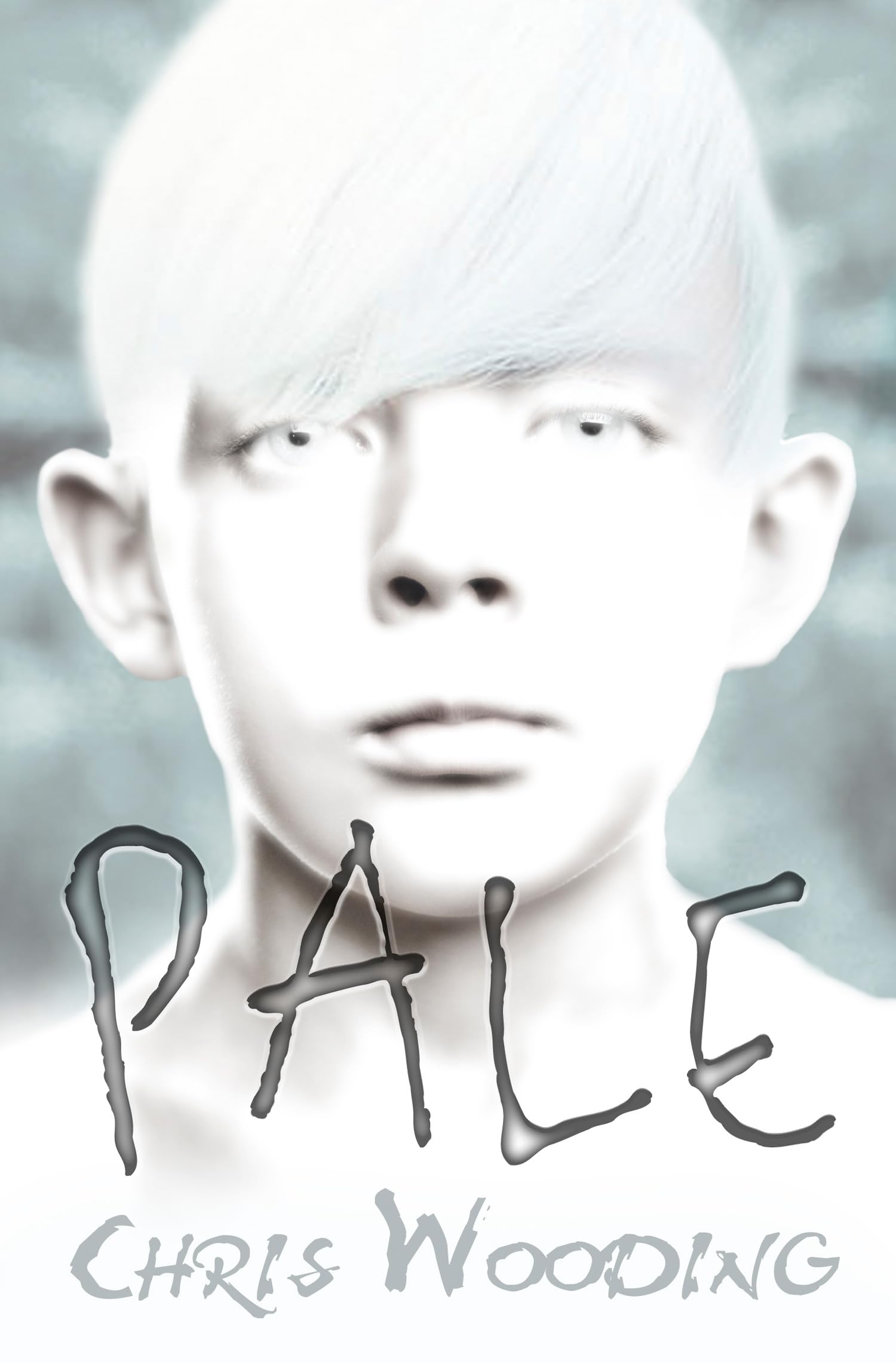Pale: (Dyslexia-friendly)