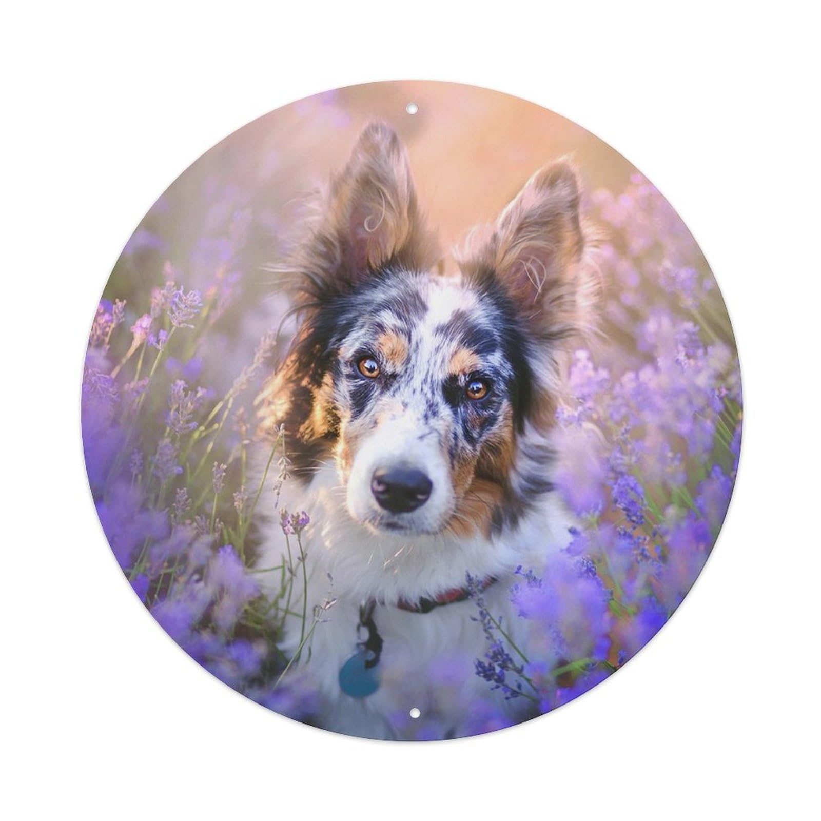 Animal Dog in Flower Metal Tin Sign