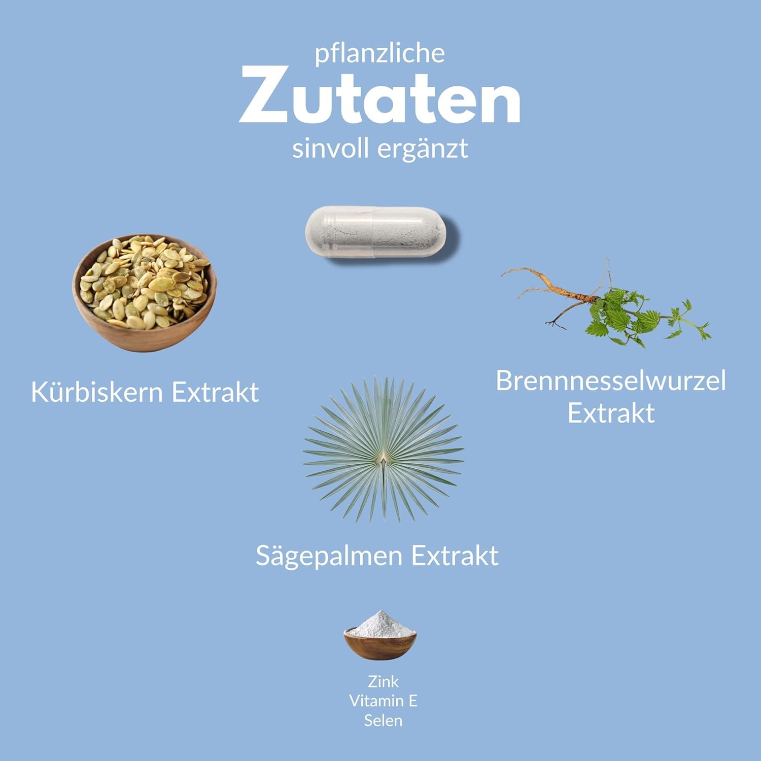 Vitalplant® Prosta Plant Kapseln im Braunglas | einzigartige Zusammensetzung aus Kürbiskernextrakt, Sägepalmenextrakt, Brennnesselwurzel