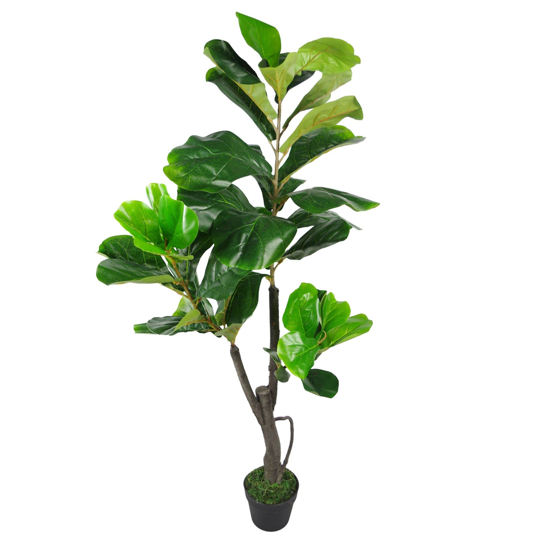 Leaf Large Artificial Fiddle Fig Tree Ficus Lyrata Plant - Green / 50Cm