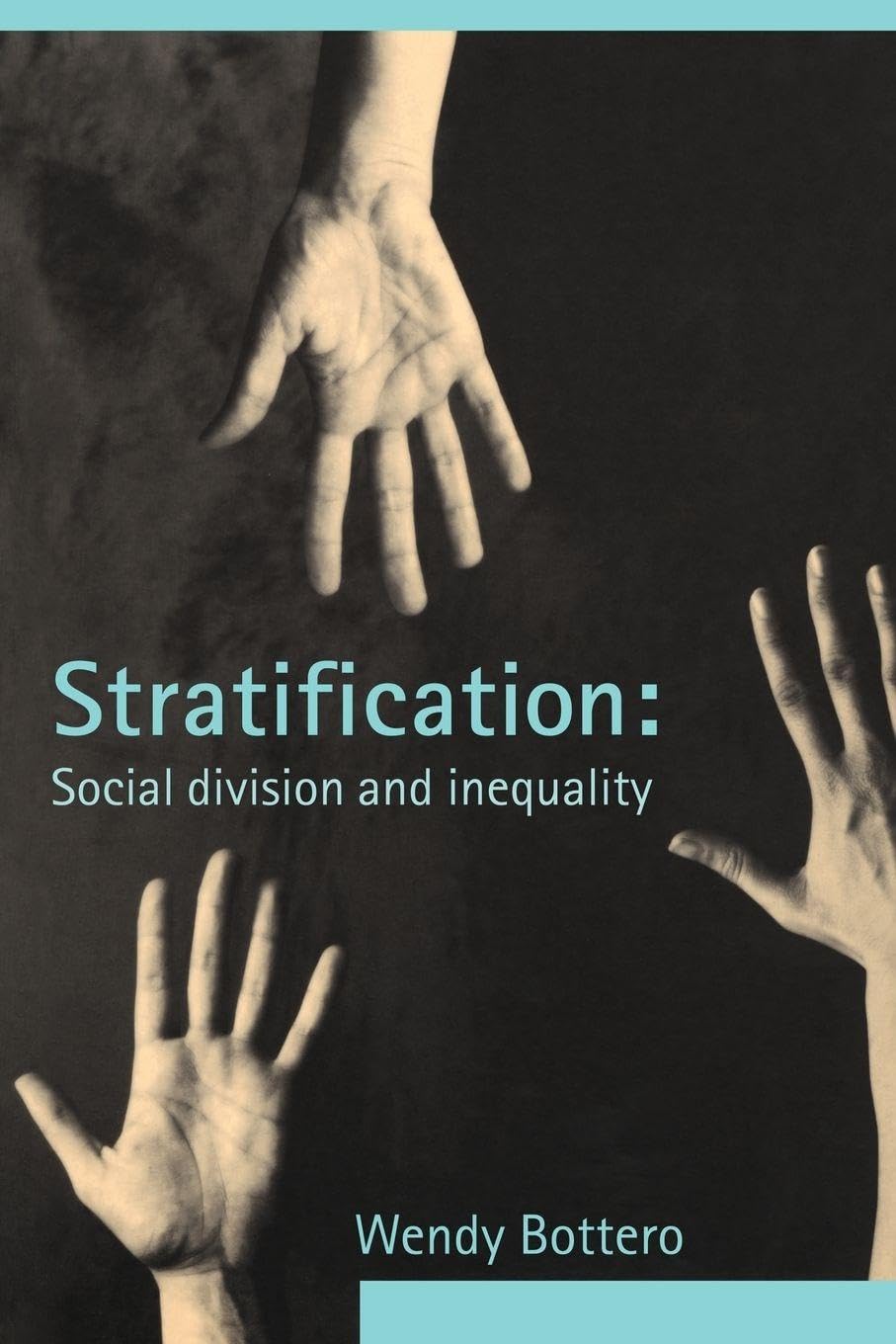 Buy Stratification: Social Division And Inequality — BookShops.in