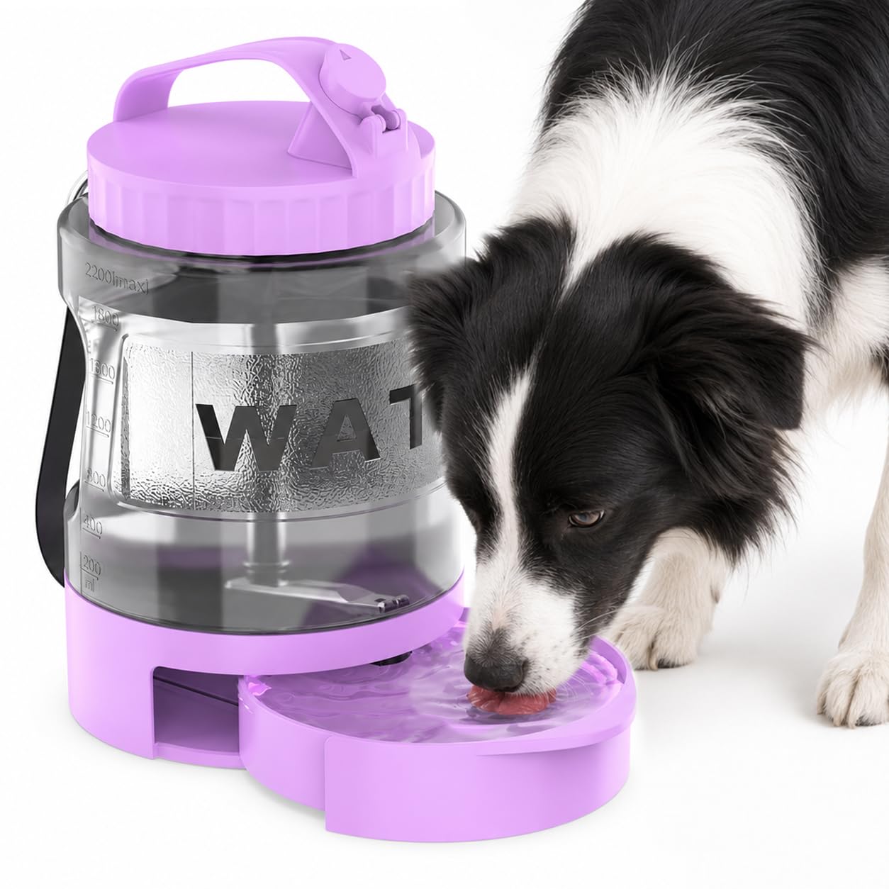 PETDOTT Portable Dog Water Bottle with Travel Bowl, 77 oz/2.2 L, Purple | 2-in-1 portable dog water bottle with pull-out bowl; BPA-free plastic, silicone seal, wide mouth and grip for hikes or travel