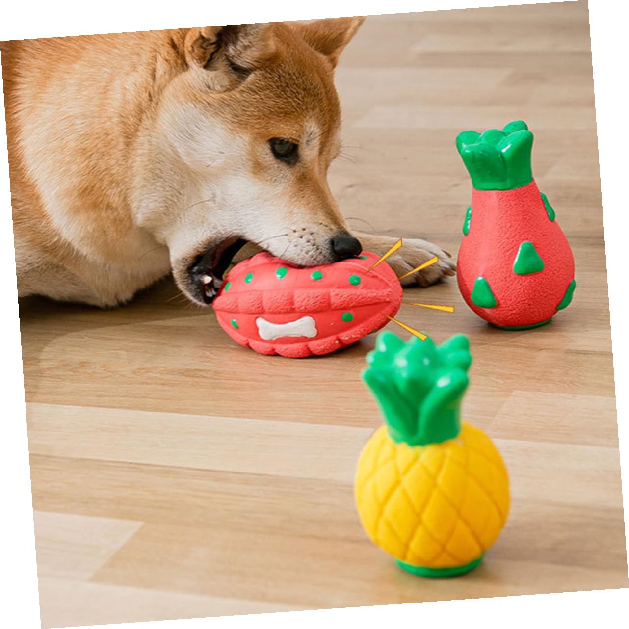 PRETYZOOM 5 Stücke Hund Spielzeug Interessant Kauen Spielzeug Tragen-beständig Für Aktive Hund