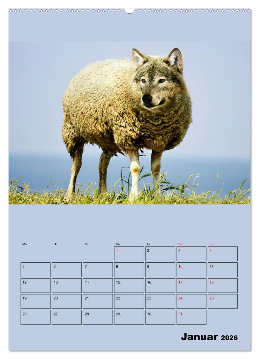 Seltsame Tiere - da stimmt doch was nicht... (hochwertiger Premium Wandkalender 2026 DIN A2 hoch), Kunstdruck in Hochglanz: Fantasiewesen, geboren aus erstaunlichen Bildmanipulationen (CALVENDO Tiere)