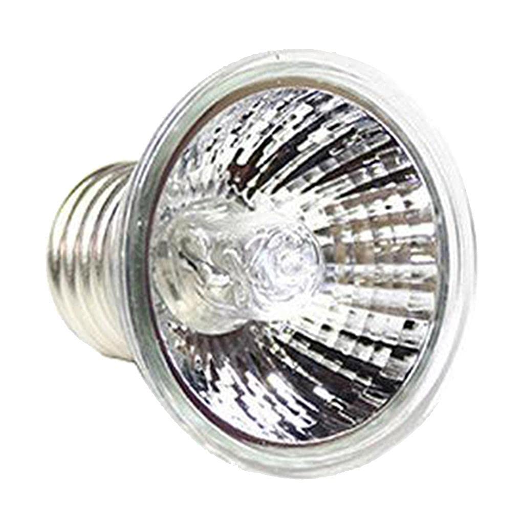 Enakshi 220V Daylight Beam BASKING SPOT LAMP Heat Reptile Bulb Sun Light 75W |Pet Supplies | Reptile Supplies