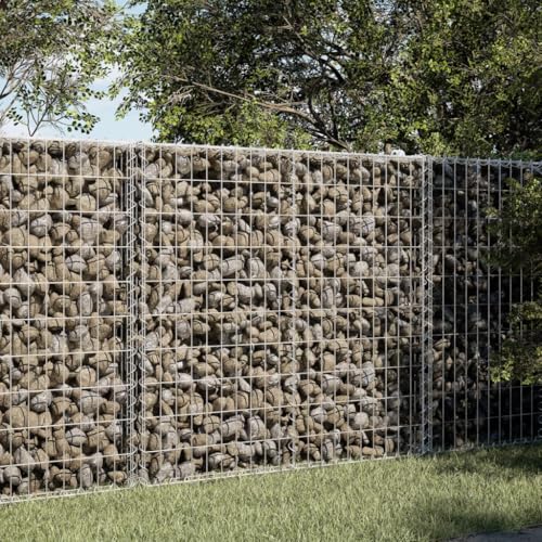 Vetnasa Cesta de gaviones con Cubierta Hierro galvanizado 150x100x100cm Casa y jardín, Jardín, Jardinería, Maceteros y jardineras Plateado 29,95 KG