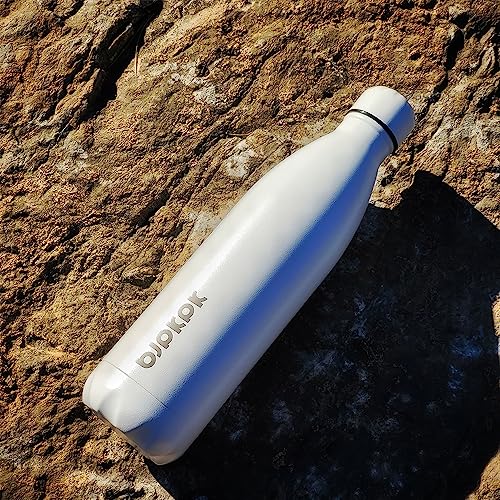 Image of BJPKPK 25 oz Insulated Water Bottle, Stainless Steel Flask, Leak Proof