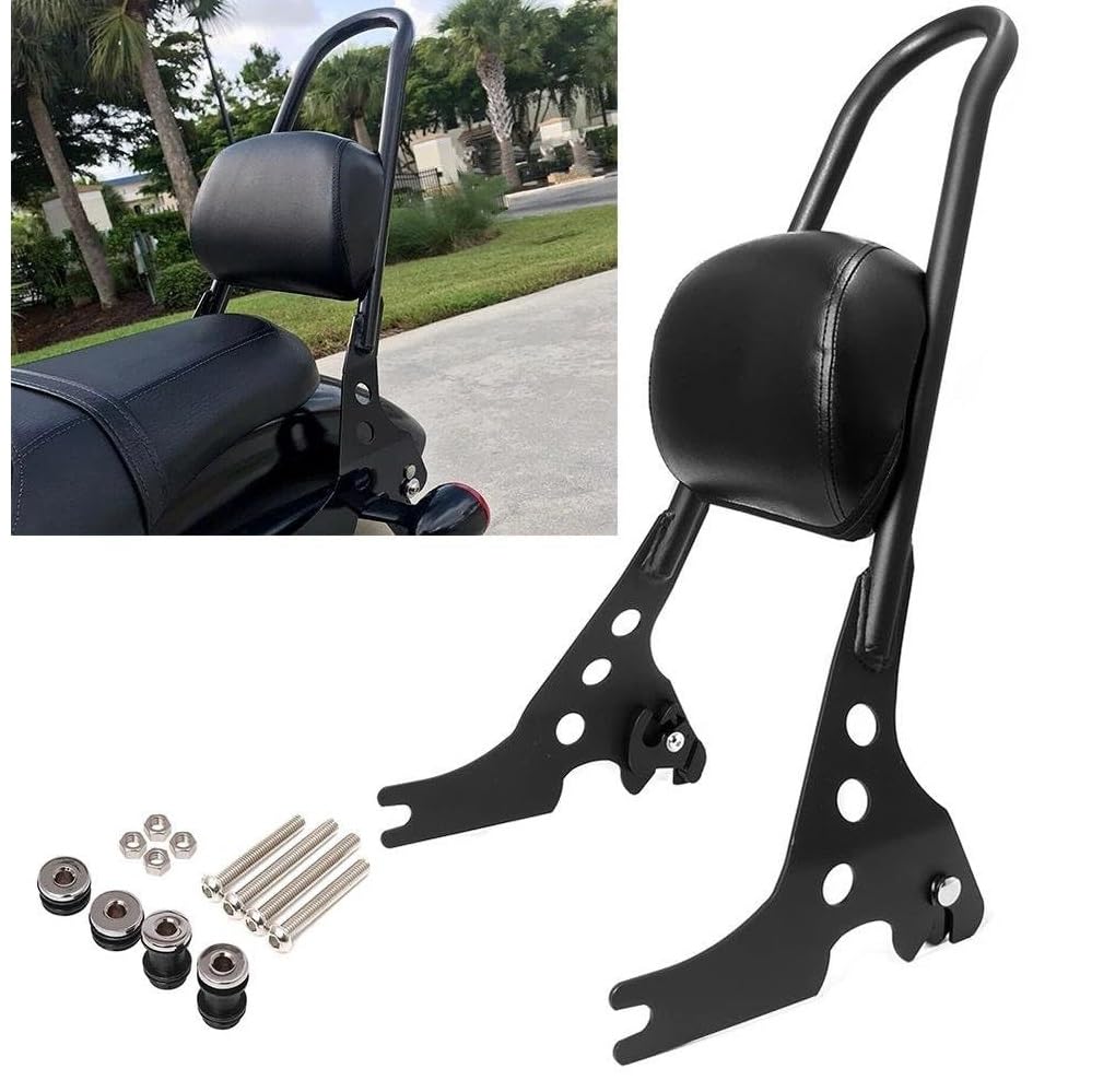 Portabagagli Posteriore con Poggiaschiena Amovibile per Motocicletta Per Sportster Iron 1200 883 XL Forty Eight 2004-2022 Portapacchi Posteriore Moto