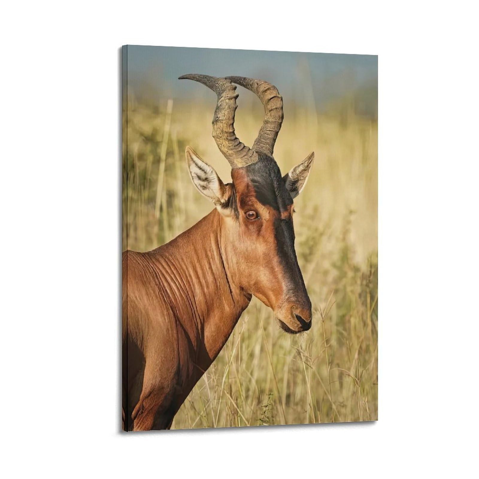 MJZLQN Animal Poster Hartebeest Poster Decorative Painting Canvas Wall Posters And Art Picture Print Modern Family Bedroom Decor Posters 20x30inch(50x75cm)